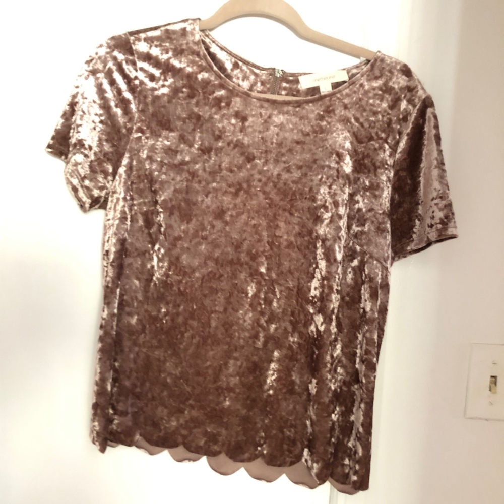 Mauve Crushed Velvet Top